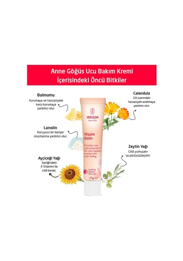 Weleda Organik Göğüs Ucu Bakım Kremi 25g