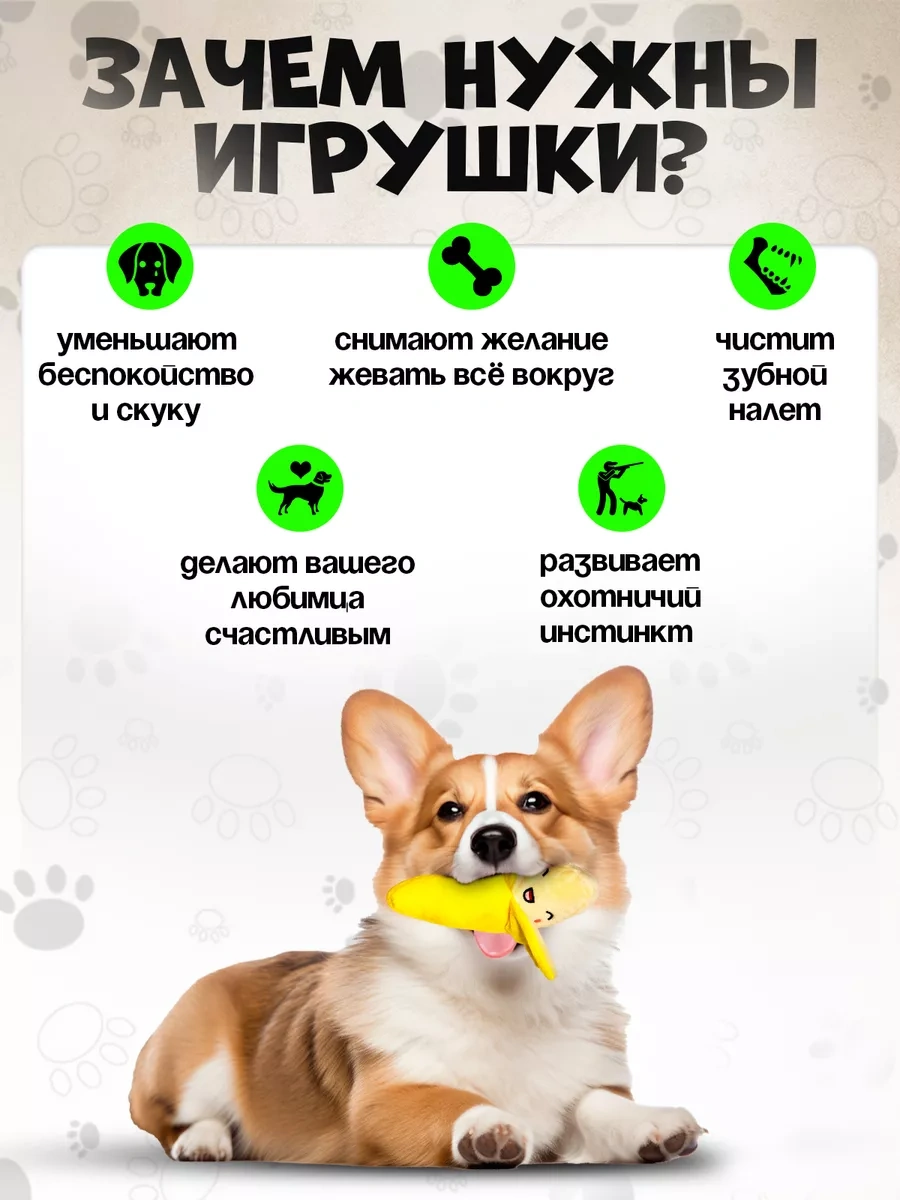 Tooth For Tooth Köpekler İçin Küçük Irklar İçin Muz Oyuncak 259717737