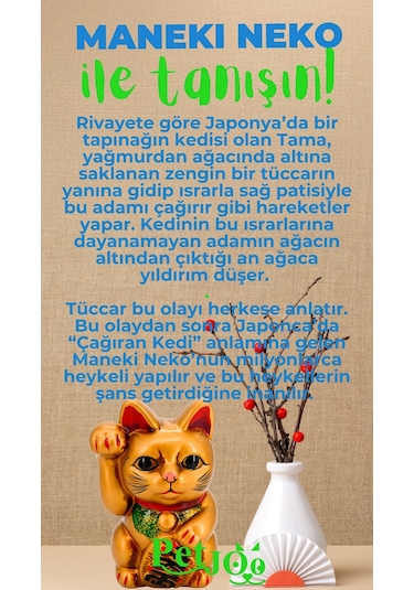 Petjoo 4.Maneki Neko Yeşil-Mavi Qr'lı Kedi Künyesi