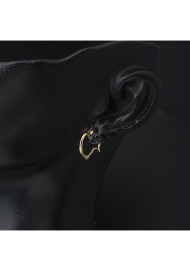 Orta Boy 14 Ayar Altın Kalp Halka Küpe Kpdls14k30255