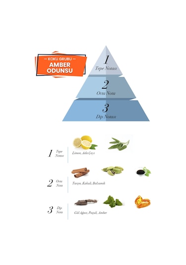 Prova Men X Odunsu Erkek Parfüm EDP 100 ML