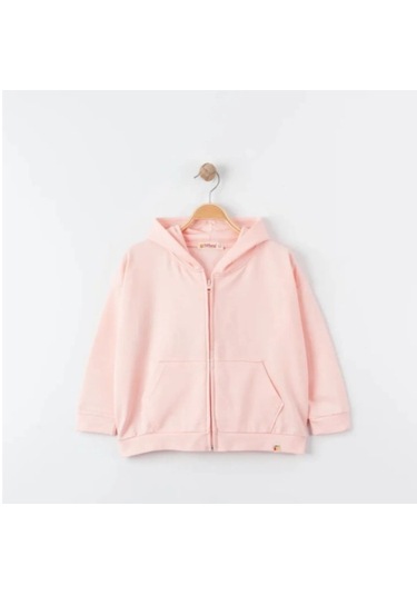 Tiffany Sweatshirt Kapüşonlu Oversize Theme Pudra-10871 Pudra