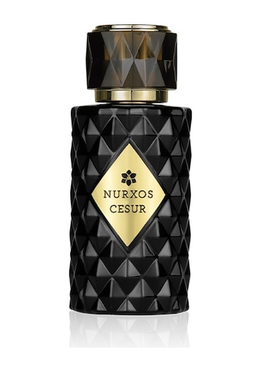 Nurxos 9788 Cesur Erkek Parfümü 8681124697882 65 ML