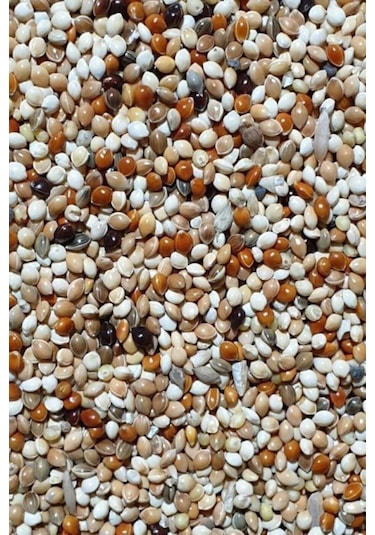 Aksenbirstore Karışık Kaliteli Lüks Özel Muhabbet Kuşu Yemi 5 KG