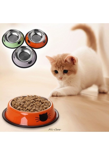 Sones Kaymaz Pet Paslanmaz Çelik Boyalı Kedi Maması Besleyici