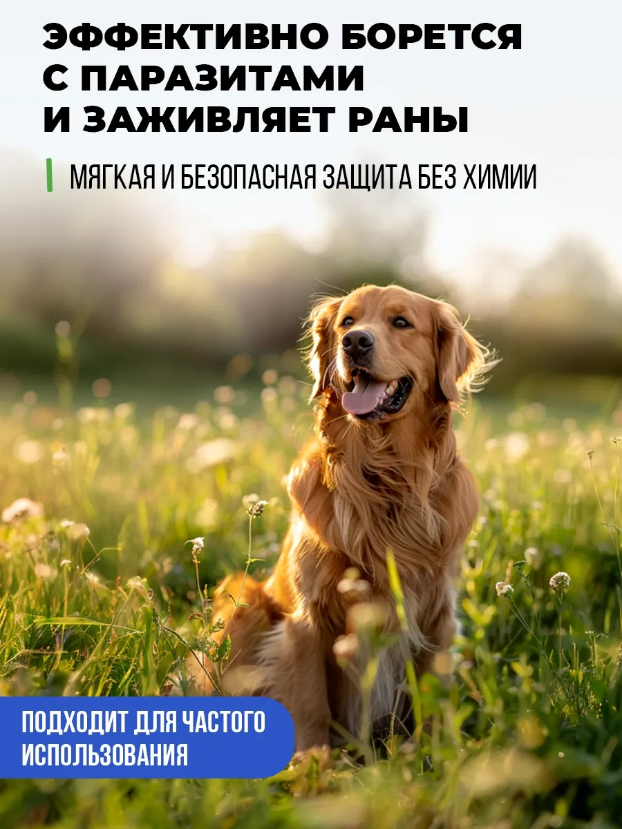 Spets Kediler Ve Köpekler İçin Pire Ve Kenelere Karşı Şampuan 1 L 174411344