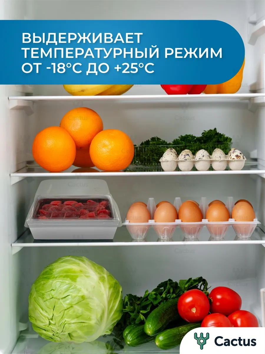 Cactus Bento Kutu 900 Ml 14 Cm Pasta Kutusu 296721028 100 adet