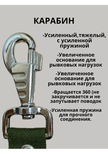 Tehpro44 10 Metre Güçlendirilmiş Köpek Gezdirme İpi Kanvas 151493158 Yeşil