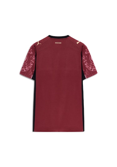 Galatasaray Puma 2025/2026 Alternatif Forma 77981303