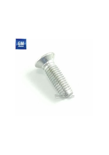 Opel Oval Başlı 12 Dişli Civata M6x12 Kapı Kilit Civatası