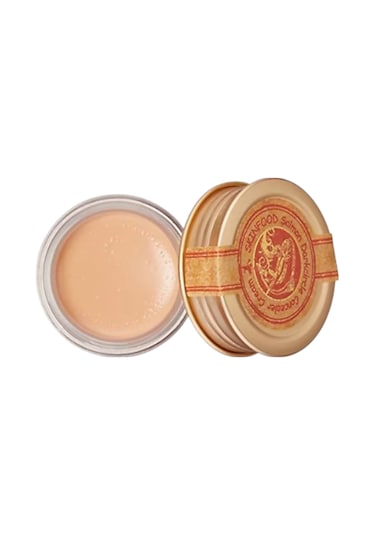Skinfood Salmon Concealer Kapatıcı Krem 02 10 G
