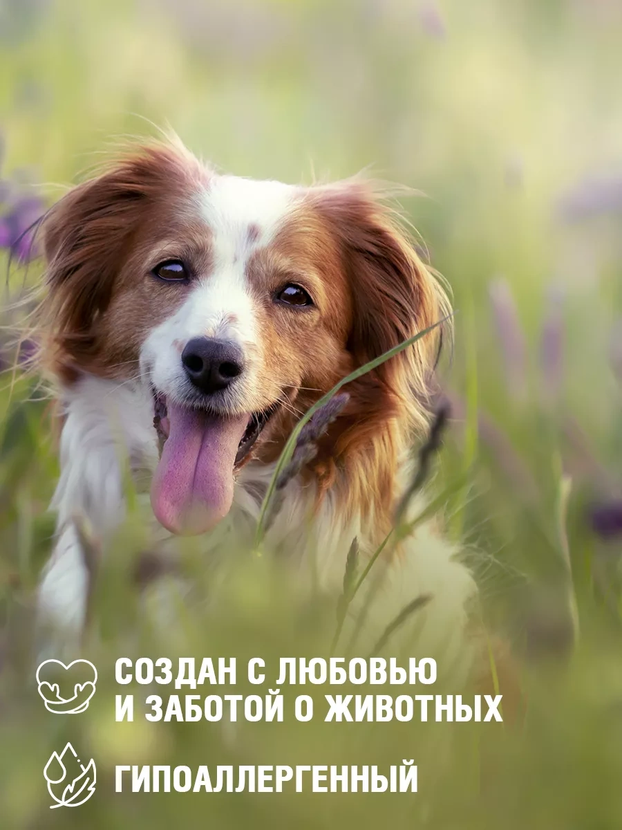 Ecozavr Pantenollu Ve A, E Vitaminli Köpek Şampuanı 500 Ml. 222017431