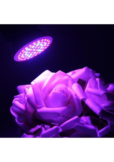 E27 5w 60 Led 2835 Smd Grow Ampul Lamba Bahçe Tesisi Çiçekli Hidroponik E27 80leds