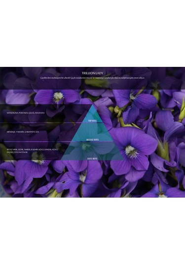 Trillion Lady Koku Kartuşu (M5-M6)