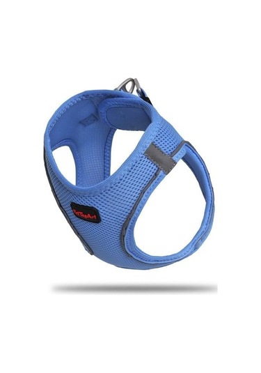 Pettagart Airmesh Mavi Göğüs Tasması Turuncu