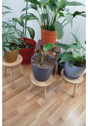 3'lü Zigon Sehpa Seti Saksılık Ve Çiçeklik Standı, Dekoratif Yan Sehpa Ahşap Ayaklı 33 Cm Çap - Atlantik Çam Atlantik Çam