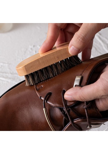 Homyl Unısex Yetişkinler Için Ayakkabı Bakımı Ve Lehçe Kiti Siyah