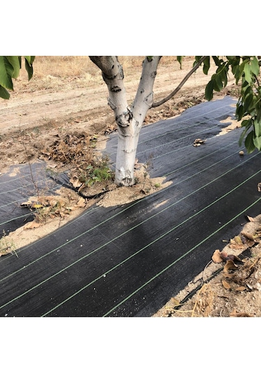 Filexus Sera Taban Örtüsü-jüt Taban Örtüsü1.5 M X 20 M