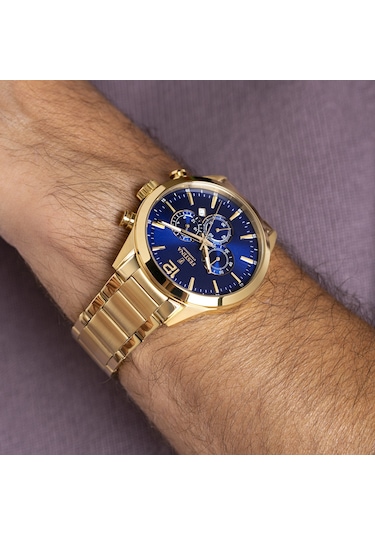 Festına F20633/2 Tımeless Chronograph Erkek Kol Saati Gri