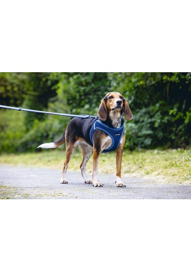 Beeztees Köpek Göğüs Tasması, Neopren, Mavi, M, 41-46cm Çok Renkli