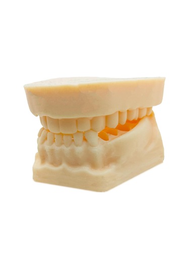 Barışhan Medikal Silikon Çene Diş Dikiş Modeli Ortodontik Alt Üst Çene Periodontal Sütür Eğitim Modeli-3