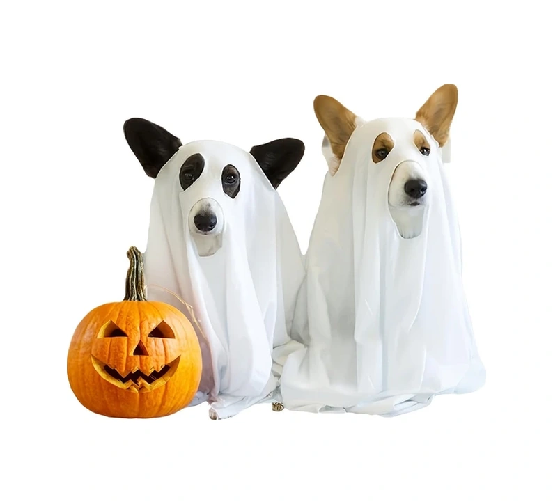 Elmpaly Siyah Tek Boy Korkunç Sevimli Dachshund Köpek Kostümü Başlıklı Pelerin