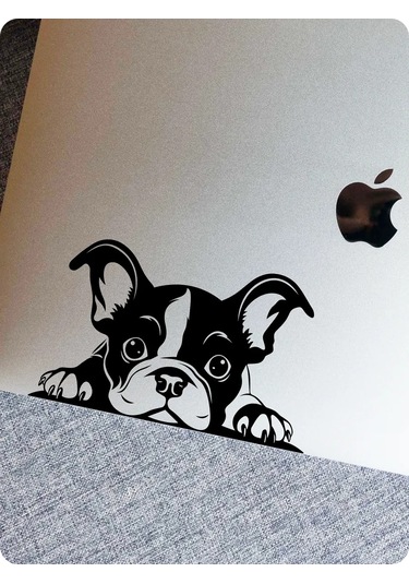 Stadi Dikkat Eden Köpek Etiketi 200702513 Siyah