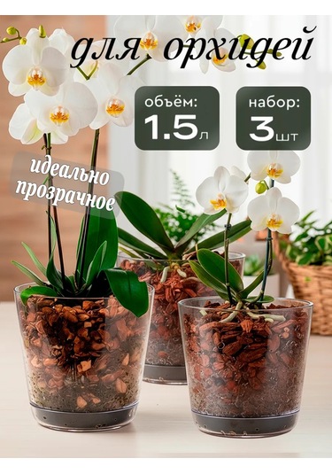 Saburg Orkide Saksısı Çiçek Saksısı Şeffaf 1,5 Litre Set 74784764