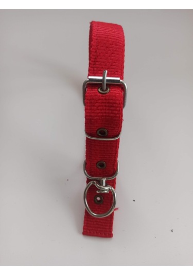 Kozaklı Orta Irk Köpek Tasması Kırmızı 60 x 3 CM