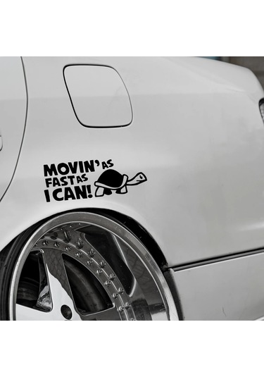 Yansıtıcı Hareket Mümkün Olduğunca Hızlı Hayvan Araba Çizgi/çizik Kapağı Yaratıcı Black 1 Piece Set