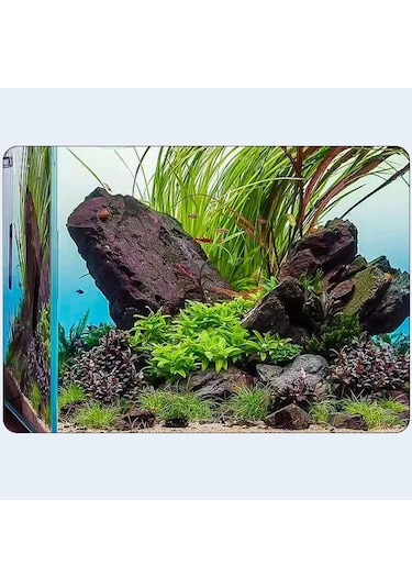 Suntek Bitkili Akvaryum Küçük Kova Göleti Için Harici 16mm
