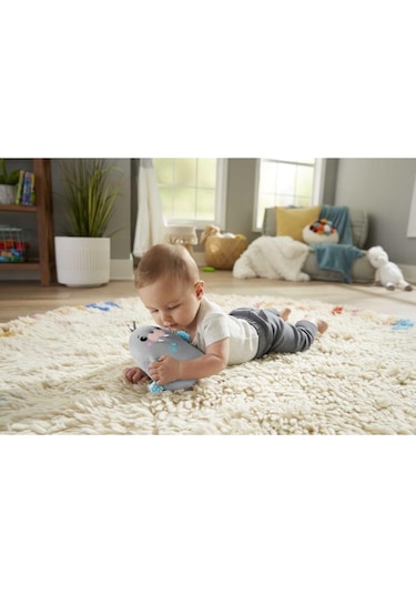 Fisher Price Sevimli Mors Uyku Arkadaşım Grt91
