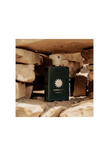 Purpose Edp 100ml Diğer