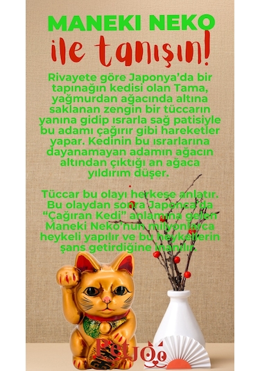 Petjoo 4.Maneki Neko Kırmızı-Yeşil Qr'lı Kedi Künyesi
