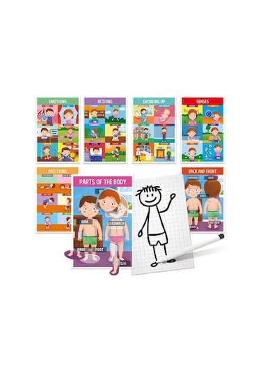 Headu How We Are Made Montessorı (3-5 Yaş)
