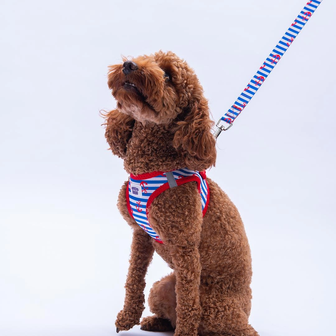 Sailor Mates Göğüs Tasması Ve Sevk Kayışı Tasma Seti Çapa Kedi Köpek Göğüs Tasması Seti Kırmızı