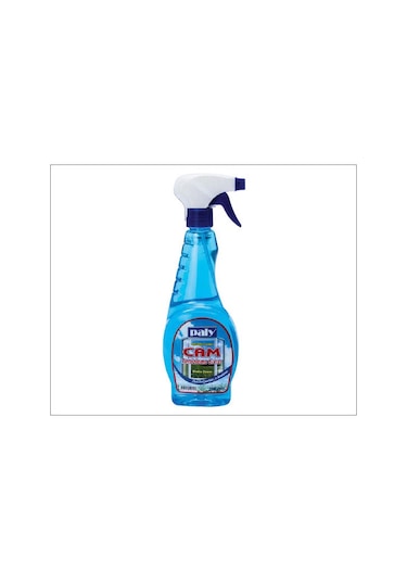 Paly Cam Temizleyici 500 ML