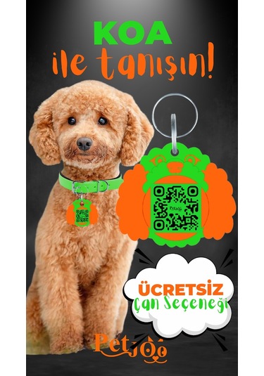 Petjoo 14.Koa Turuncu-Yeşil Qr'lı Köpek Künyesi