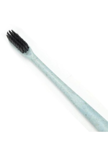 Homyl Kutu Ile 10x Taşınabilir Buğday Samanı Saplı Mavi