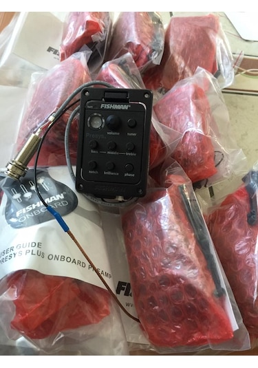 Fishman PSY-201 Ekolayzer