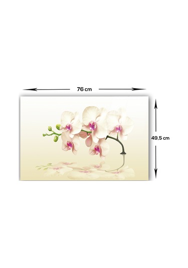 Decorita Krem Orkide | Cam Ocak Arkası Koruyucu | 49,5cm x 76cm