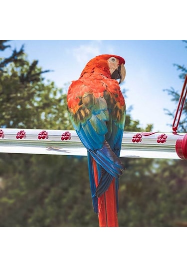 Shineyee Delik Askılı Sinek Kuşu Besleyici Kuş Besleyicileri Kuşlar İçin Kırmızı Şeffaf Tüp Pencere Bahçe Dolap Çubuk Braketleri-40