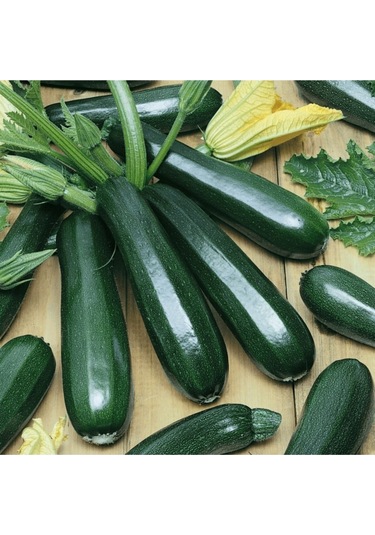 Yediveren Siyah Kabak Tohumu