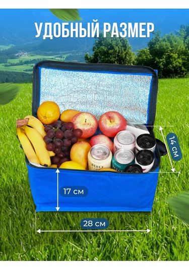 Thermogo Termo Çanta Çanta Soğutucu 376547126 Mavi