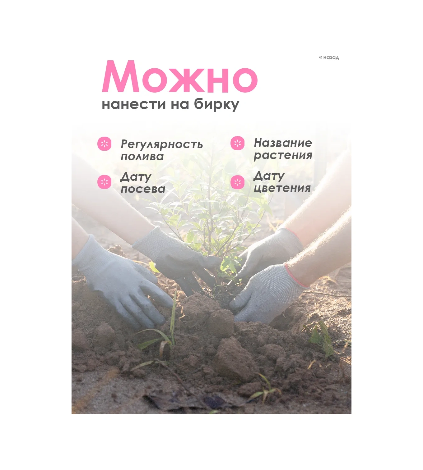 Sovıto Bahçe Askılı Etiket, 100 Adet 378518335