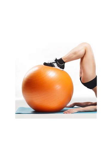 Pilates Topu 65 CM Pilates Pompası Egzersiz Set Fitness + Pompa Fuşya