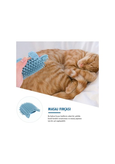 Teknetstore Evcil Hayvan Tüy Toplama Eldiveni & Kedi Köpek Silikon Masaj Tarağı 2'li Set