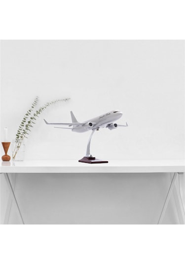 Zekupp - Maket Uçak - Boeing 737-800 1/100 - GÜMÜŞ RENK ÖZEL TASARIM Model Uçak