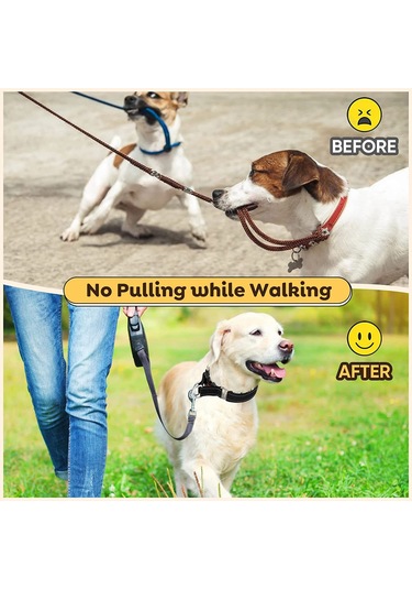 Geeroyoo Kişiselleştirilebilir, Hızlı Çıkarılabilir, Sürdürülebilir Köpek Eğitim Tasması - Paslanmaz Çelik Ve Nylon Siyah