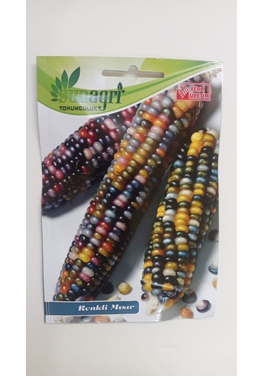 Bykurt Sunagri Renkli Mısır Tohumu - Bahçe Ve Tarla İçin, İlkbahar-yaz Ekimi, Yüksek Verimli
